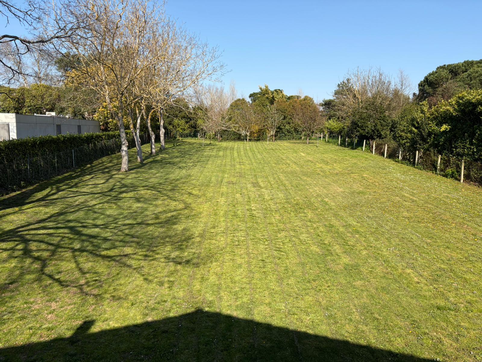 Terrain constructible viabilisé de 1 500 m² — fond d'impasse au calme